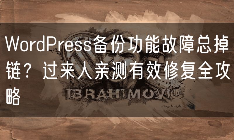 WordPress备份功能故障总掉链？过来人亲测有效修复全攻略