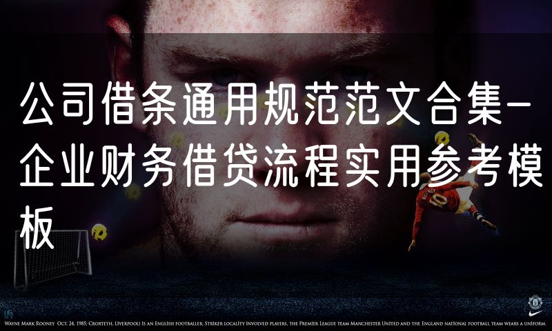 公司借条通用规范范文合集-企业财务借贷流程实用参考模板