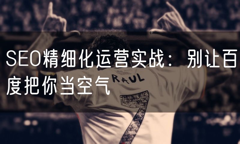 SEO精细化运营实战:别让百度把你当空气(0)