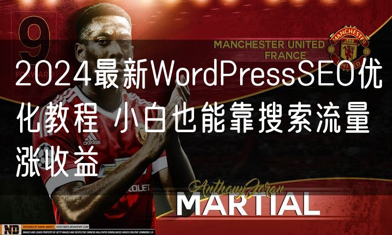 2024最新WordPressSEO优化教程 小白也能靠搜索流量涨收益