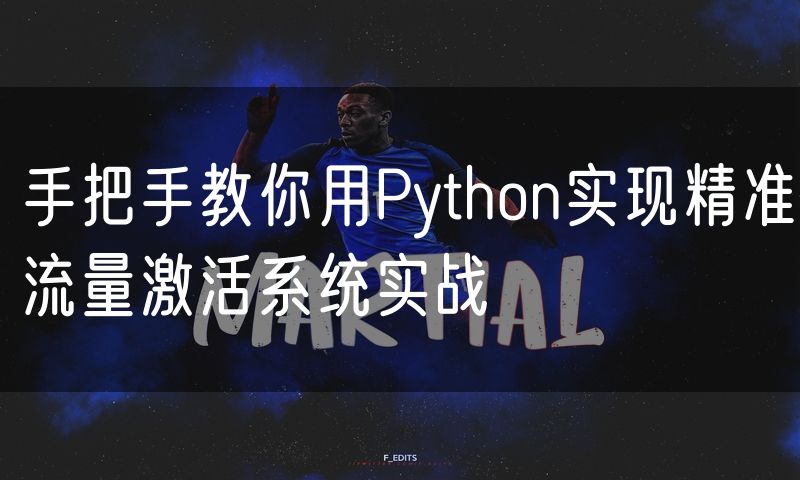 手把手教你用Python实现精准流量激活系统实战