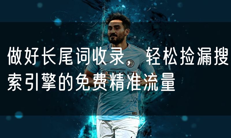 做好长尾词收录,轻松捡漏搜索引擎的免费精准流量(4)
