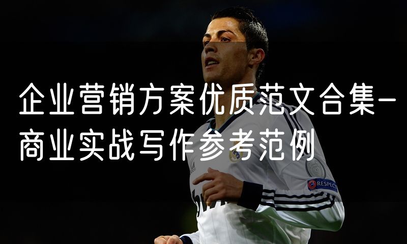 企业营销方案优质范文合集-商业实战写作参考范例