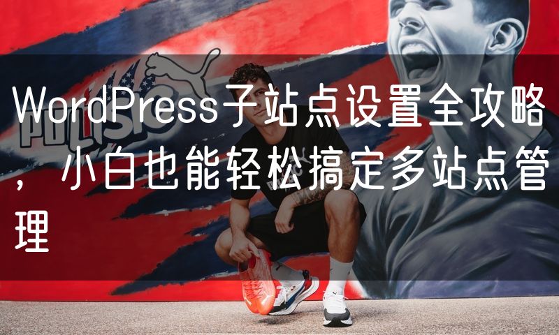 WordPress子站点设置全攻略,小白也能轻松搞定多站点管理