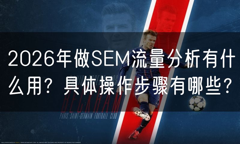 2026年做SEM流量分析有什么用？具体操作步骤有哪些？(10)