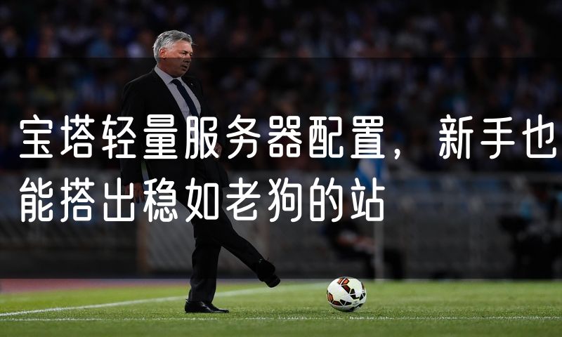 宝塔轻量服务器配置,新手也能搭出稳如老狗的站