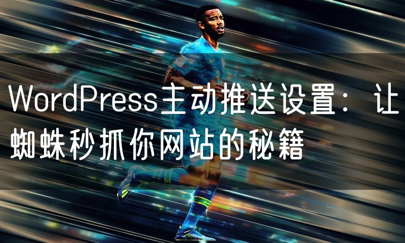 WordPress主动推送设置:让蜘蛛秒抓你网站的秘籍
