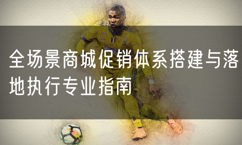 全场景商城促销体系搭建与落地执行专业指南