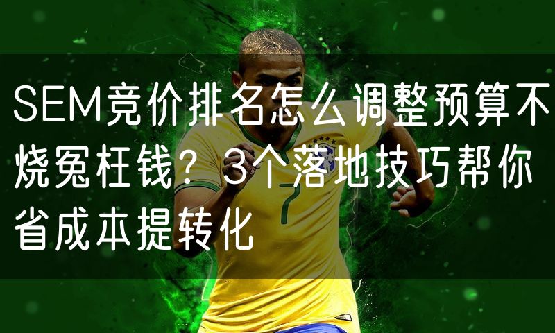 SEM竞价排名怎么调整预算不烧冤枉钱？3个落地技巧帮你省成本提转化(3)