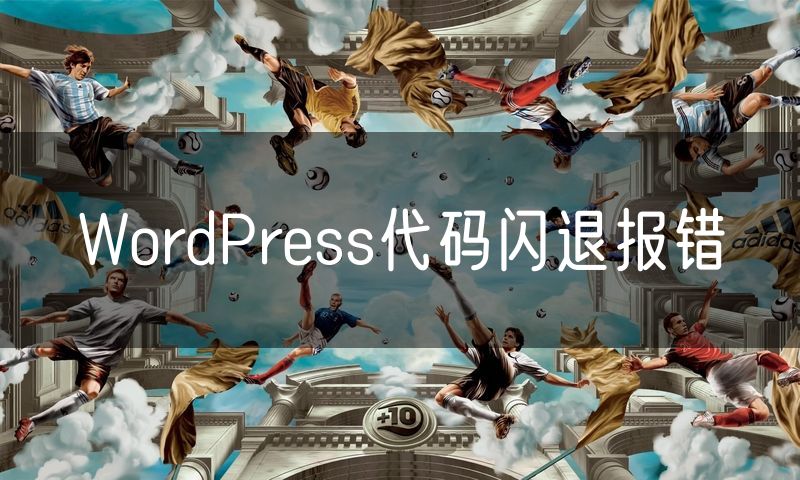 WordPress代码闪退报错