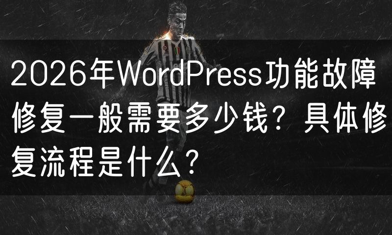 2026年WordPress功能故障修复一般需要多少钱?具体修复流程是什么?