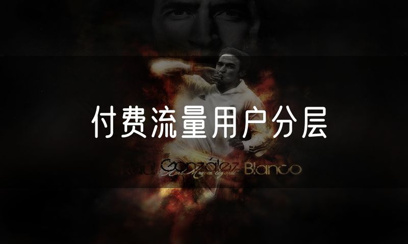 付费流量用户分层