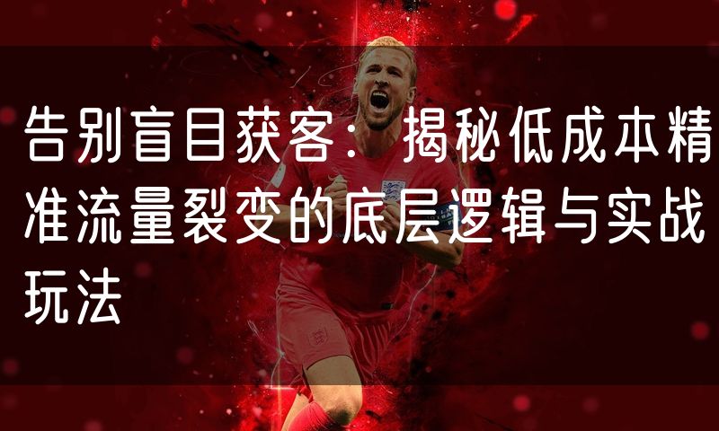 告别盲目获客:揭秘低成本精准流量裂变的底层逻辑与实战玩法