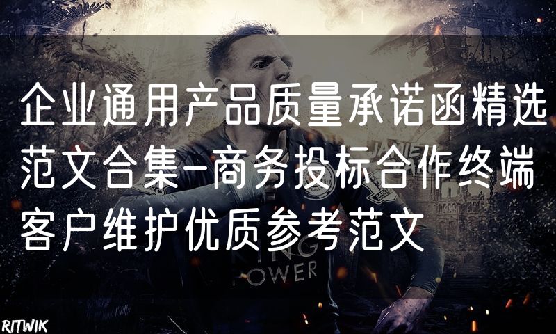 企业通用产品质量承诺函精选范文合集-商务投标合作终端客户维护优质参考范文