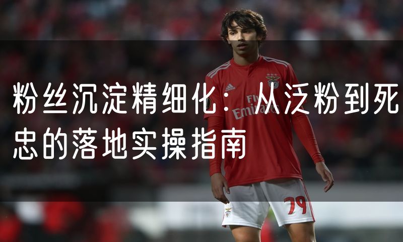 粉丝沉淀精细化：从泛粉到死忠的落地实操指南