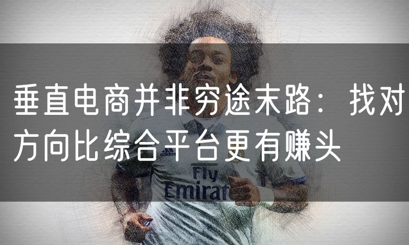 垂直电商并非穷途末路:找对方向比综合平台更有赚头(12)
