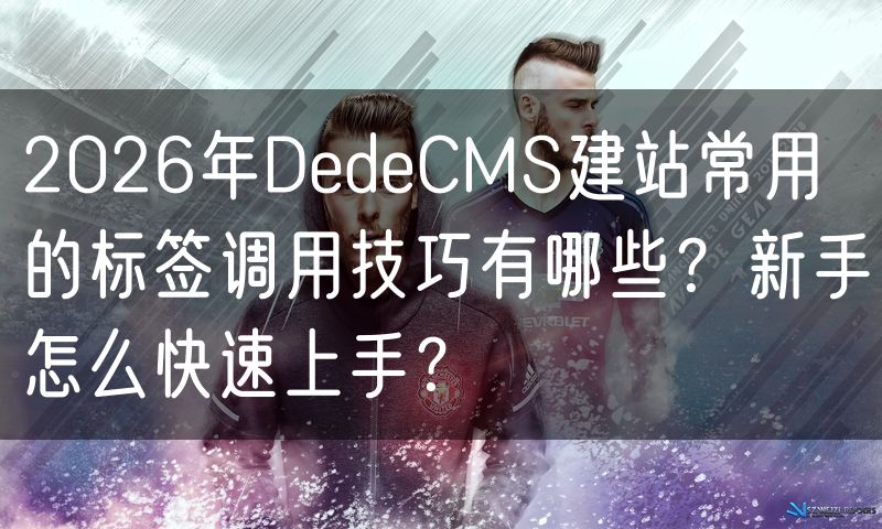2026年DedeCMS建站常用的标签调用技巧有哪些？新手怎么快速上手？(3)