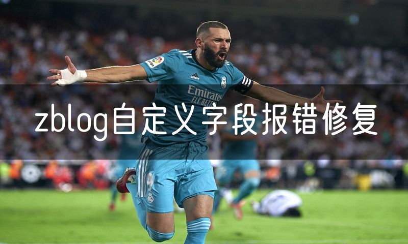 zblog自定义字段报错修复