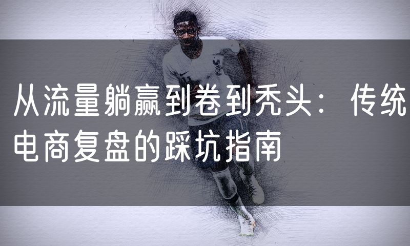从流量躺赢到卷到秃头：传统电商复盘的踩坑指南(8)