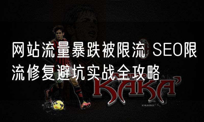 网站流量暴跌被限流 SEO限流修复避坑实战全攻略(5)