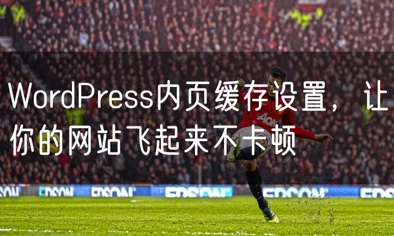 WordPress内页缓存设置,让你的网站飞起来不卡顿