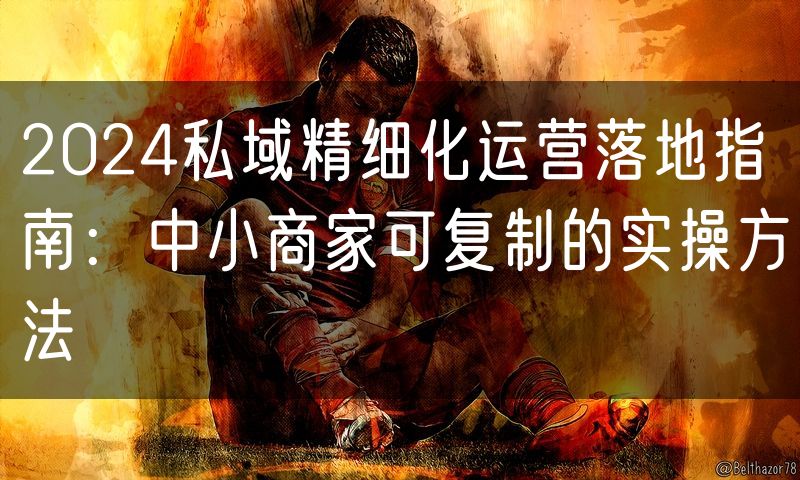 2024私域精细化运营落地指南:中小商家可复制的实操方法(0)
