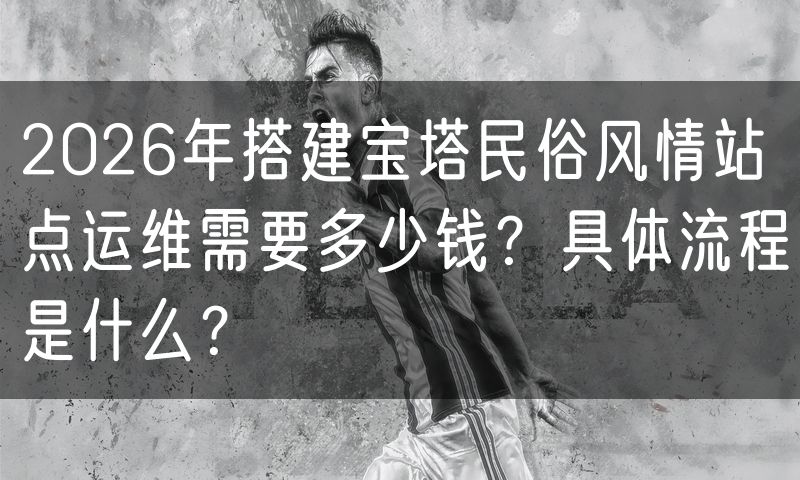 2026年搭建宝塔民俗风情站点运维需要多少钱？具体流程是什么？