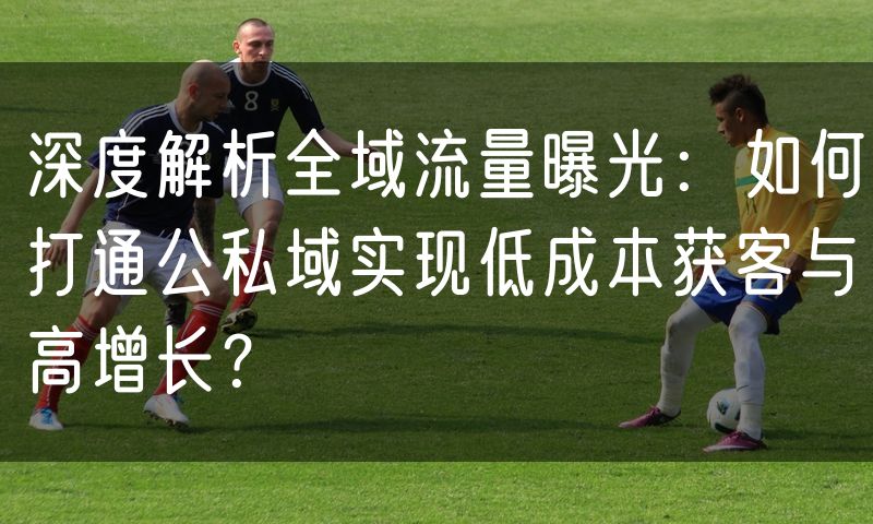 深度解析全域流量曝光：如何打通公私域实现低成本获客与高增长？