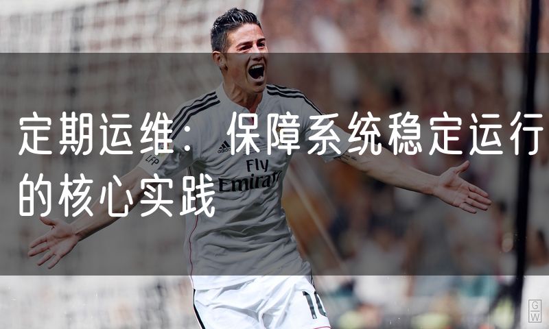 定期运维:保障系统稳定运行的核心实践