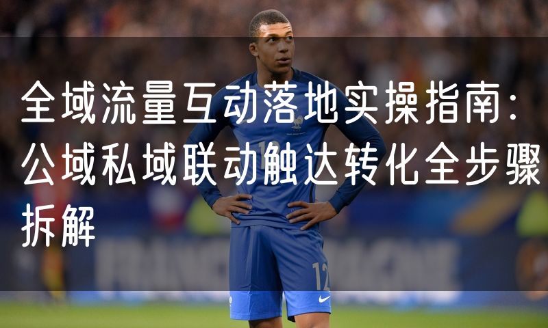 全域流量互动落地实操指南：公域私域联动触达转化全步骤拆解