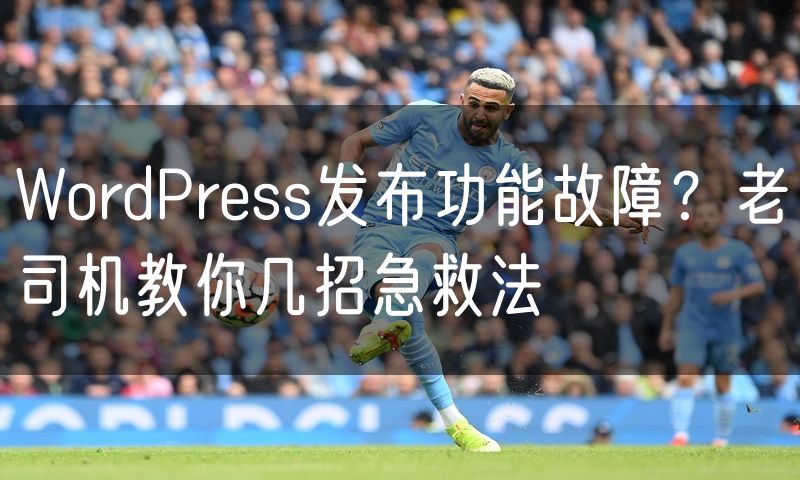 WordPress发布功能故障？老司机教你几招急救法