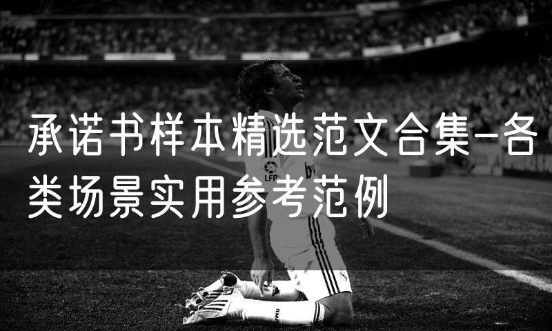 承诺书样本精选范文合集-各类场景实用参考范例