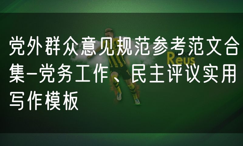 党外群众意见规范参考范文合集-党务工作、民主评议实用写作模板