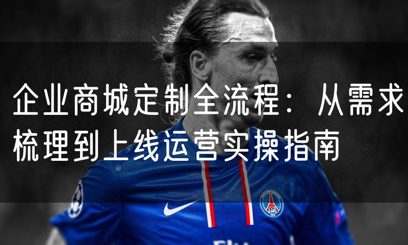 企业商城定制全流程:从需求梳理到上线运营实操指南
