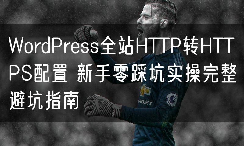 WordPress全站HTTP转HTTPS配置 新手零踩坑实操完整避坑指南