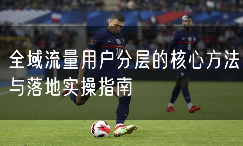 全域流量用户分层的核心方法与落地实操指南