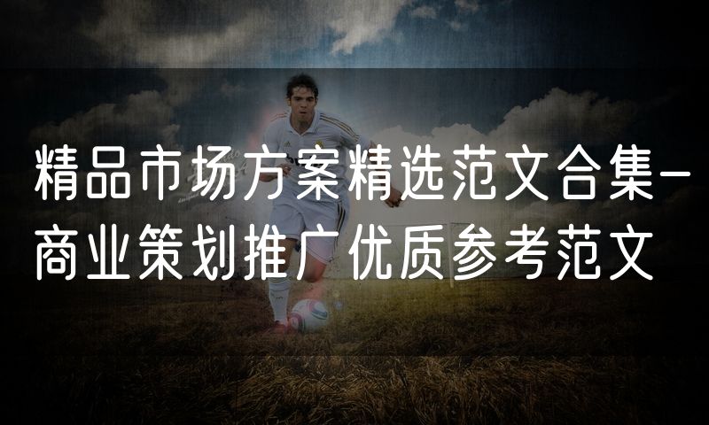 精品市场方案精选范文合集-商业策划推广优质参考范文