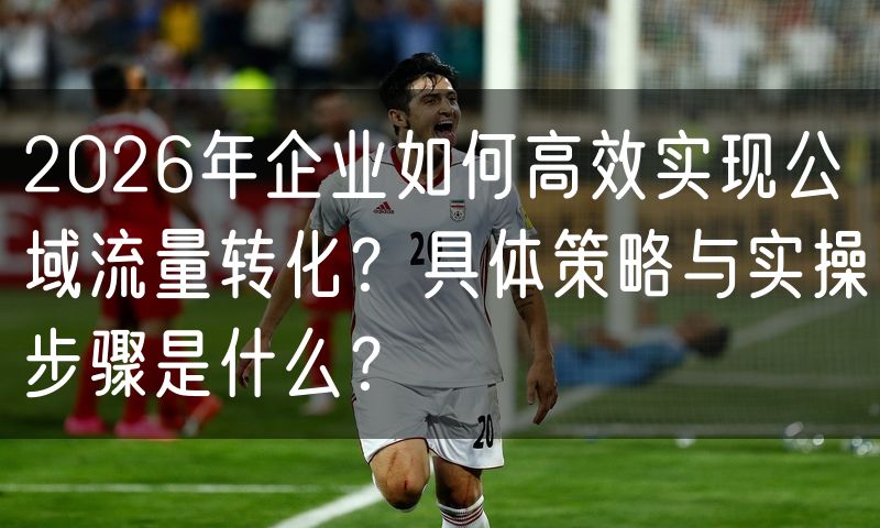2026年企业如何高效实现公域流量转化？具体策略与实操步骤是什么？