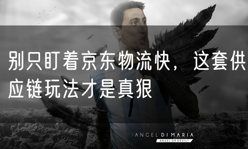 别只盯着京东物流快，这套供应链玩法才是真狠