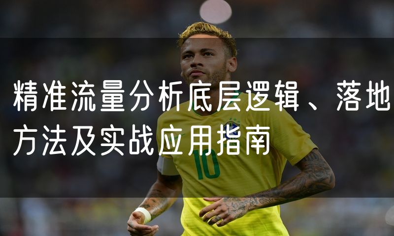 精准流量分析底层逻辑、落地方法及实战应用指南