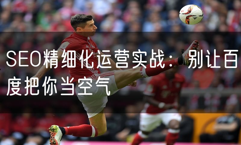 SEO精细化运营实战:别让百度把你当空气(8)
