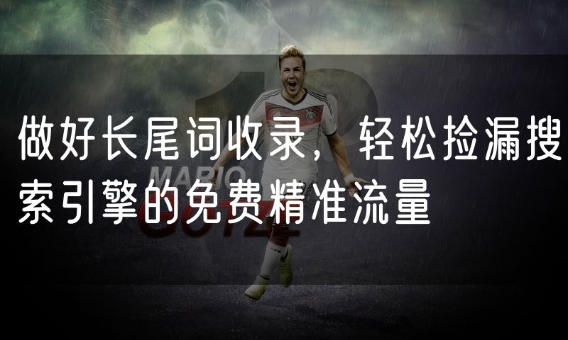 做好长尾词收录,轻松捡漏搜索引擎的免费精准流量(8)