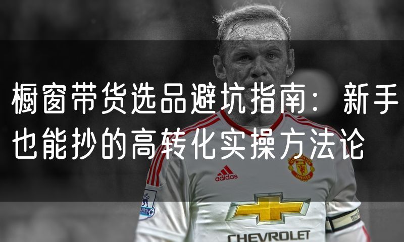 橱窗带货选品避坑指南：新手也能抄的高转化实操方法论(0)