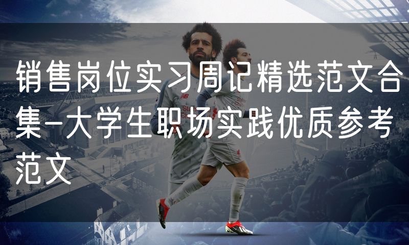 销售岗位实习周记精选范文合集-大学生职场实践优质参考范文