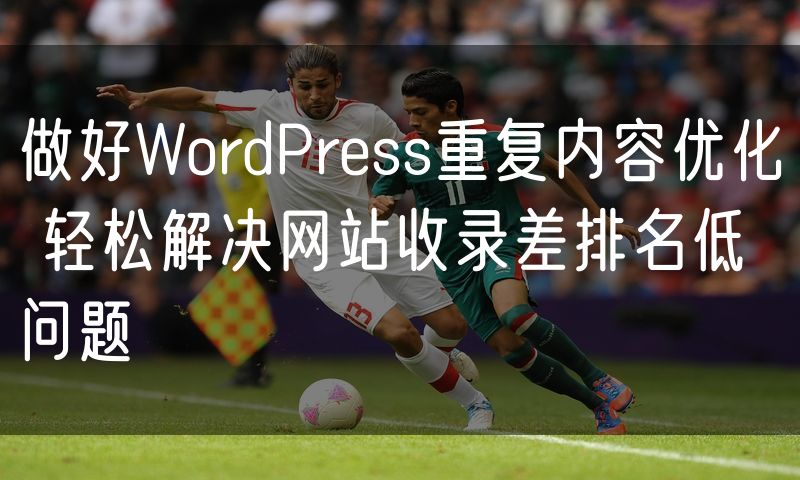 做好WordPress重复内容优化 轻松解决网站收录差排名低问题