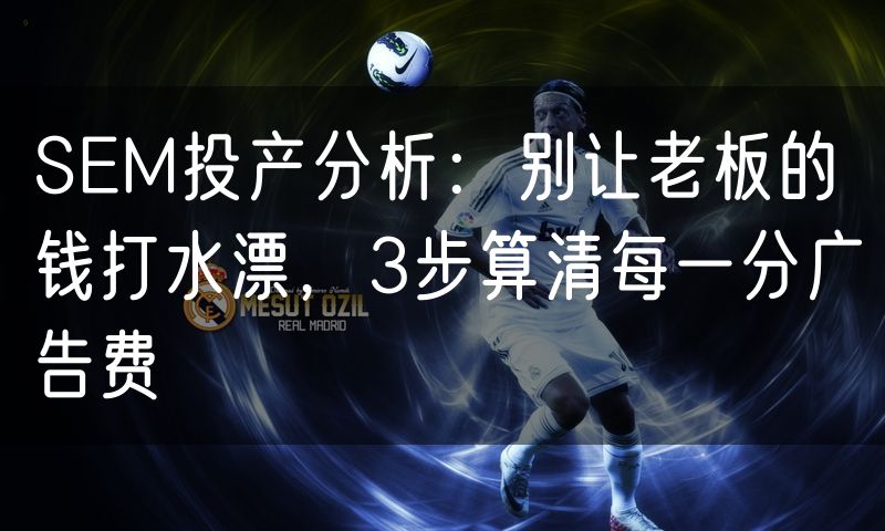 SEM投产分析：别让老板的钱打水漂，3步算清每一分广告费(18)