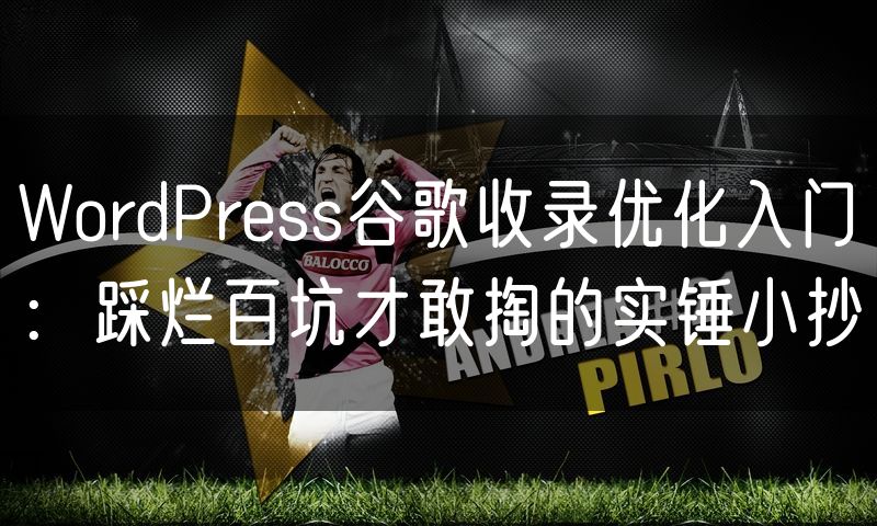 WordPress谷歌收录优化入门:踩烂百坑才敢掏的实锤小抄
