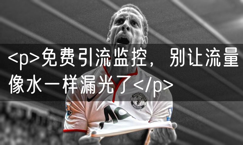 <p>免费引流监控，别让流量像水一样漏光了</p>