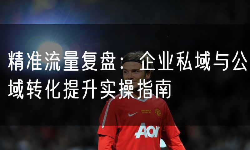 精准流量复盘:企业私域与公域转化提升实操指南