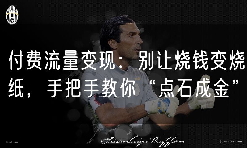 付费流量变现:别让烧钱变烧纸,手把手教你“点石成金”